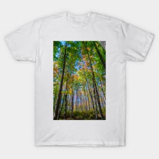 Autumn is Coming in the Forest. T-Shirt